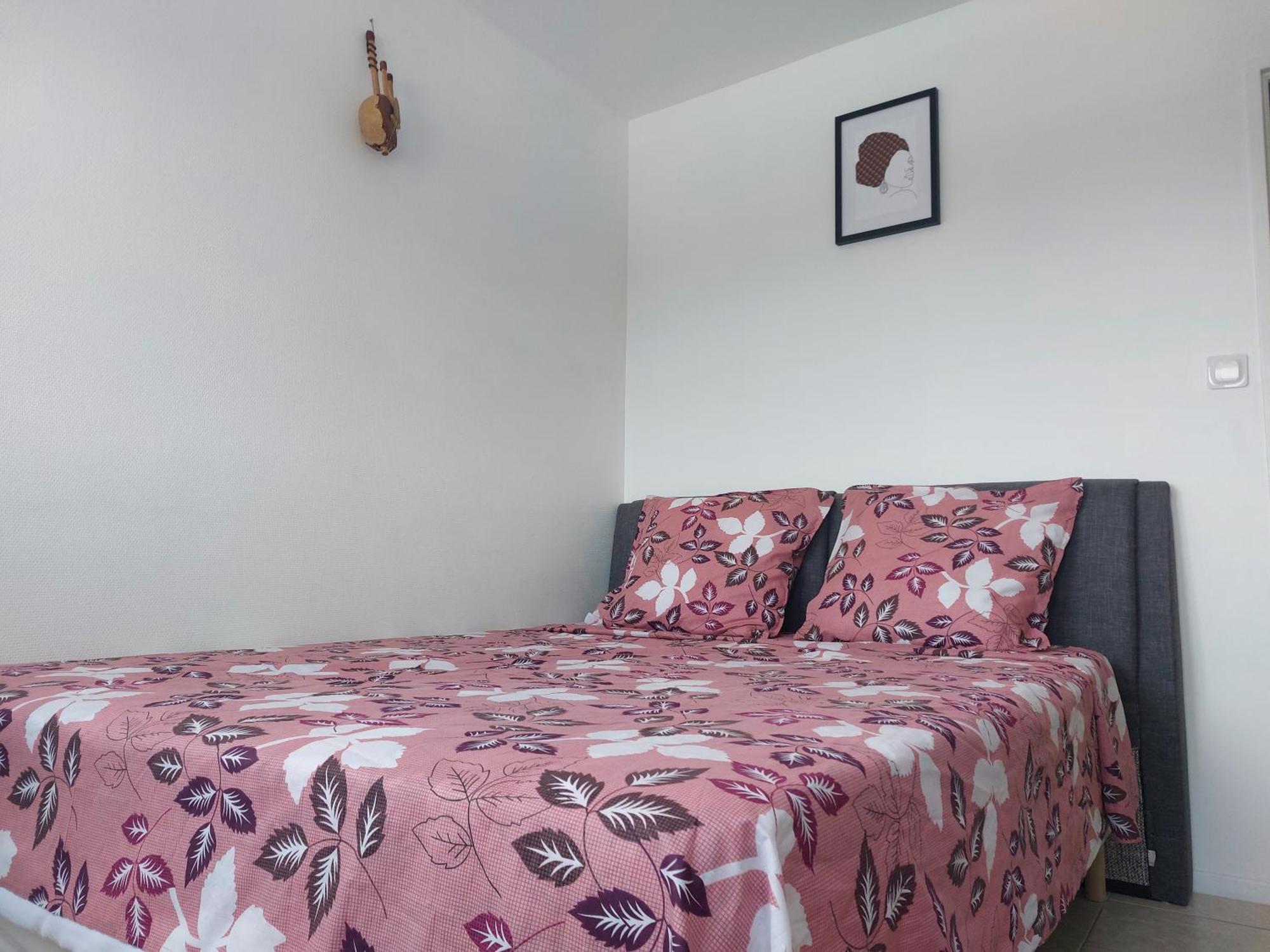 Appartement Au Duleing House Ορλεάνη Εξωτερικό φωτογραφία