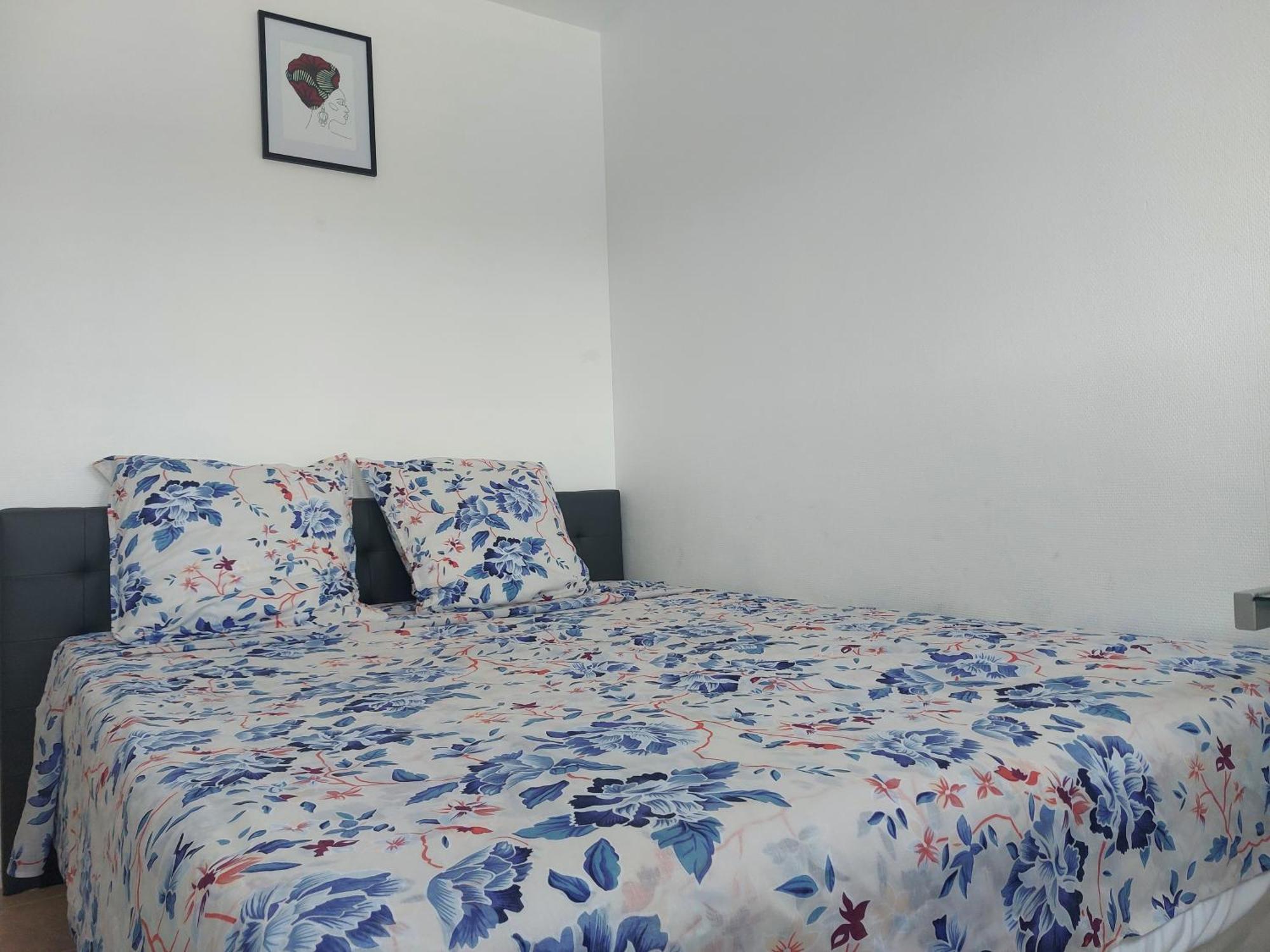 Appartement Au Duleing House Ορλεάνη Εξωτερικό φωτογραφία